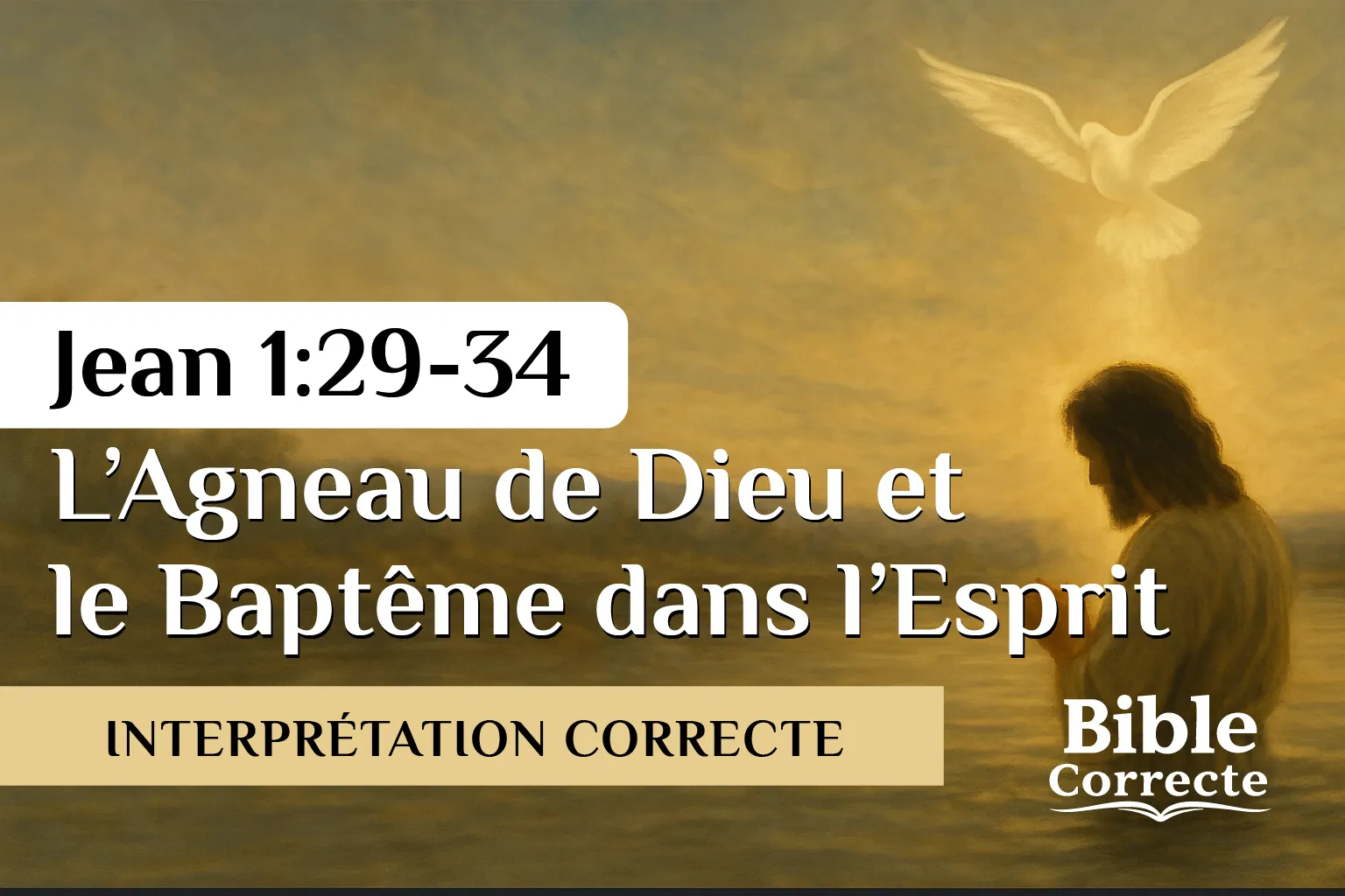 Jean-1-29-34